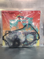 900 ACE FULL Engine Gasket SET