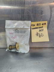 ACE engine Thermostat